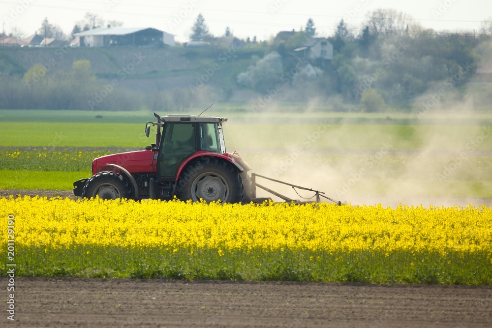 Fototapeta premium Tractor at work