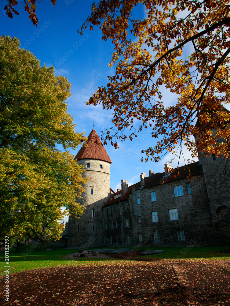 Medieval wall and tower of Tallin, in Estonian Capital