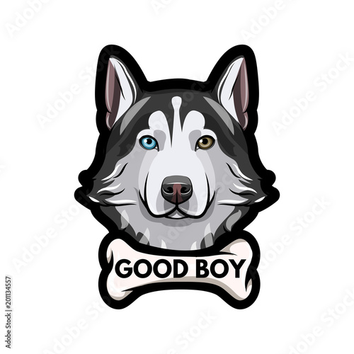 Siberian husky dog. Bone. Good boy inscription. Dog portrait. Dog breed. Vector.