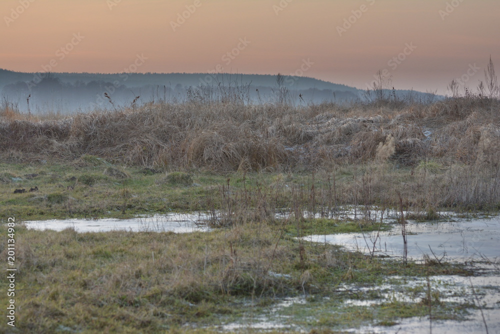 Landscape meadow later in the autumn frosty evening. Frozen puddles off-road. Dry plants sleeping nature.