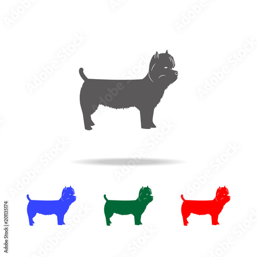 West Highland Terrier icon. Elements of dogs multi colored icons. Premium quality graphic design icon. Simple icon for websites, web design; mobile app, info graphics photo