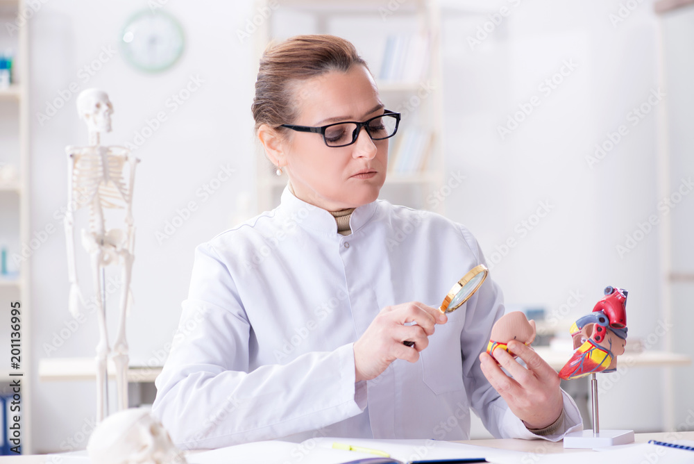 Doctor lecturer explaining various parts of heart Doctor lecturer explaining various parts of heart