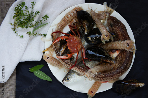 fresh mantis shrimps, catshark, crab - ingredients for fish stew Bouillabaisse photo