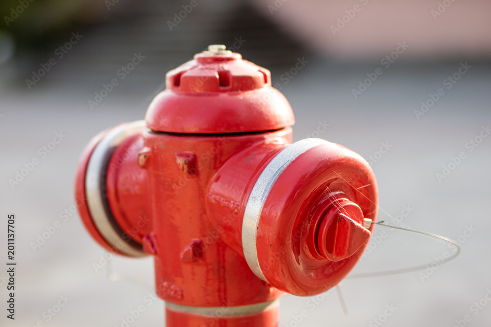 Red hydrant standing outside in the park. Anti-fire system in the city.