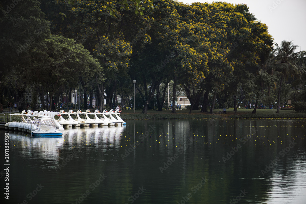 Swan paddle boats in Lumphini Park, Bangkok Swan paddle boats in Lumphini Park, Bangkok