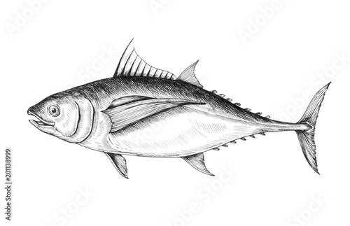 Hand drawn of seafood concept