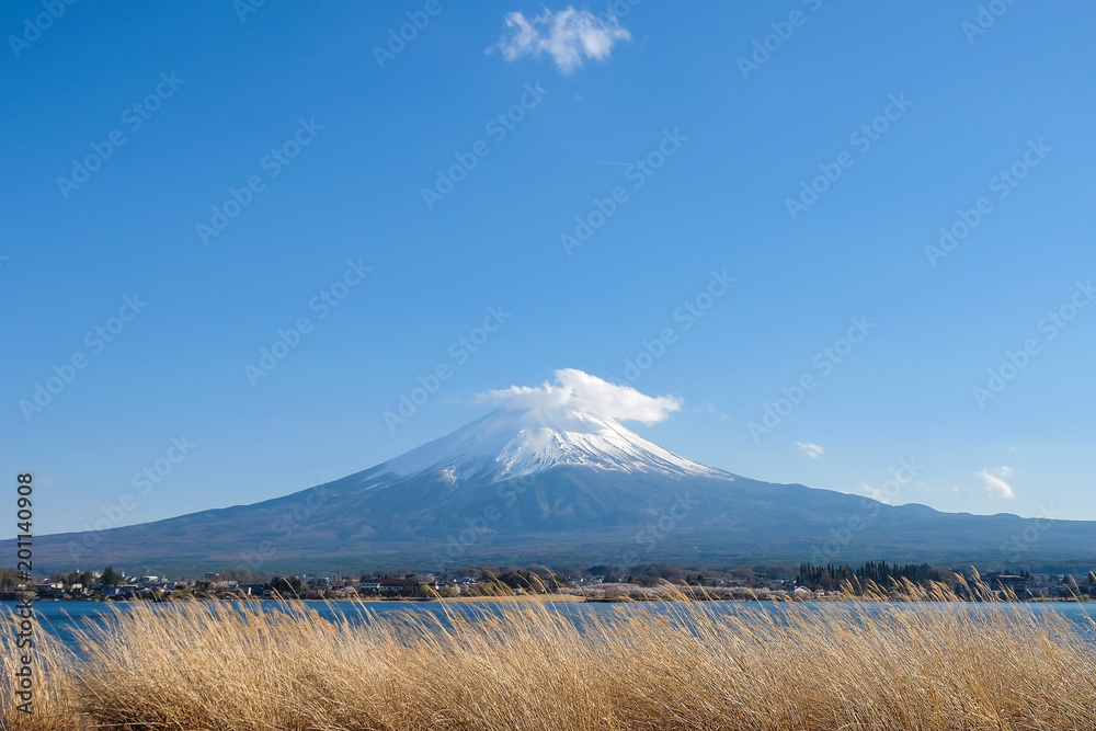Beautiful Mount Fuji with snow capped and blue sky at Lake kawaguchiko, Japan. landmark and popular for tourist attractions