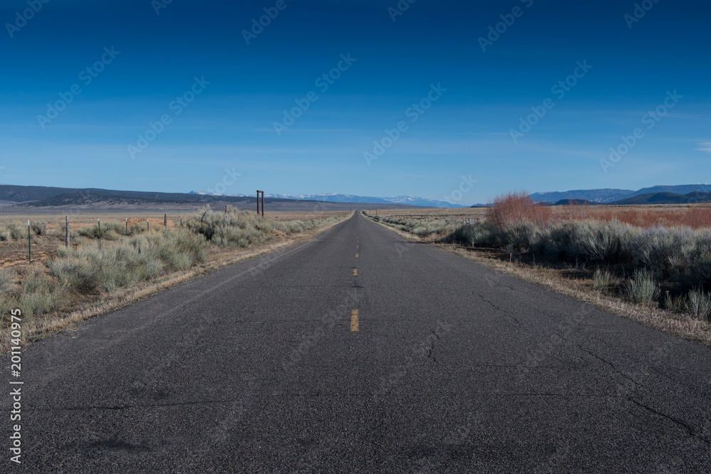 Naklejka premium Standing in the MIddle of Desert Road and Blue Sky
