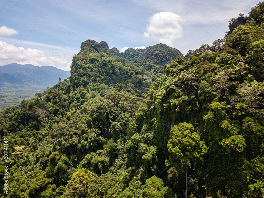 Fototapeta premium A huge limestone cliff in the middle of a tropical rainforest