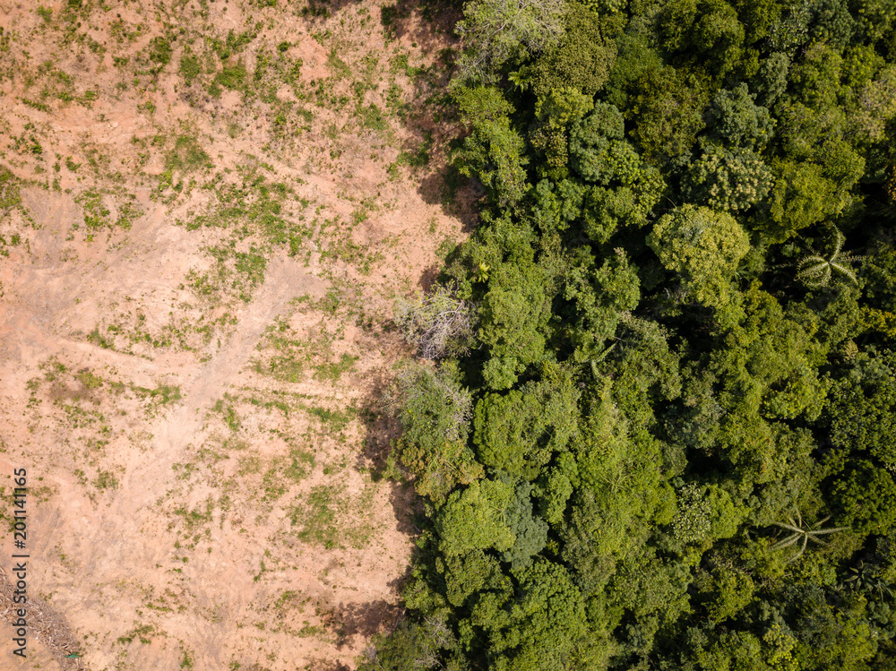 Aerial drone view of deforestation of a tropical rain forest to make way for palm oil and construction Aerial drone view of deforestation of a tropical rain forest to make way for palm oil and construction