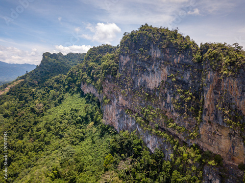 A huge limestone cliff in the middle of a tropical rainforest