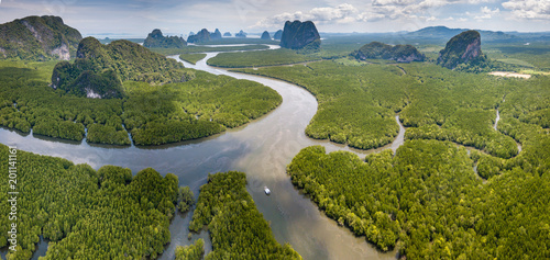 Aerial view of a huge natural mangrove forest with towering limestone cliffs (Phang Nga, Thailand) photo