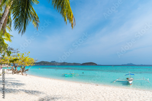View of tropical beach on the island Malcapuya, Palawan, Philippines. Beautiful tropical island with sand beach, palm trees. Travel concept photo