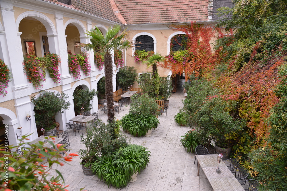 Naklejka premium Joching (Weingut Holzapfel)