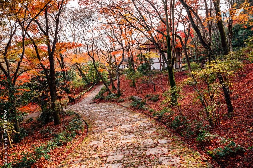 Obraz premium Jojakko-ji temple with autumn maple in Arashiyama, Kyoto, Japan