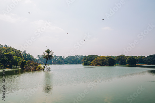 Obraz na płótnie Lalbagh Botanical Garden in Bangalore, India w salonie