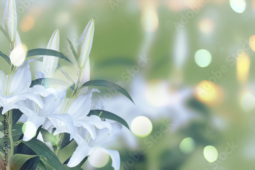 Natural bouquet of lilies on green blurred background.
