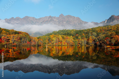 Amazing autumn lake scenery of Kagami Ike (Mirror Pond) in morning light with symmetric reflections of colorful fall foliage on smooth water & rugged Togakushi Mountain in background in Nagano, Japan