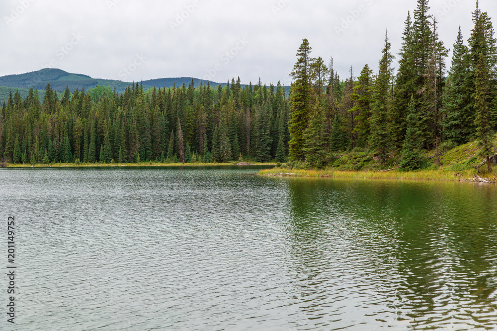 Forest lake surrounding by spruce trees with a mountain background on a overcast day.
