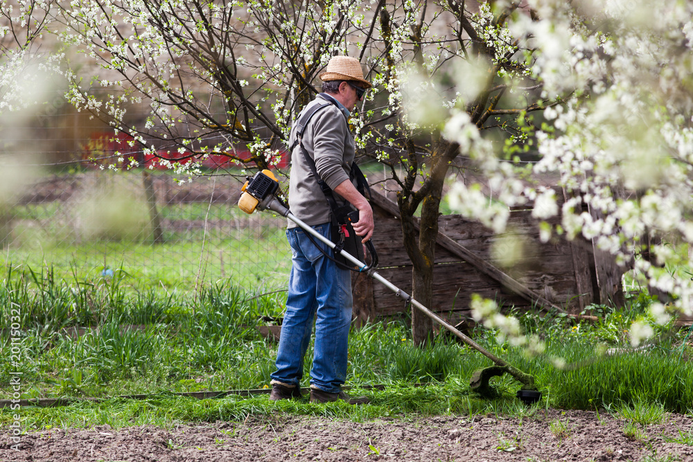 man cutting grass in garden with the weed trimmer man cutting grass in garden with the weed trimmer