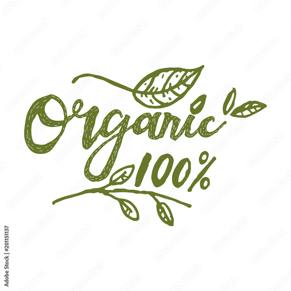 Fototapeta premium organic logotype hand drawn illustration