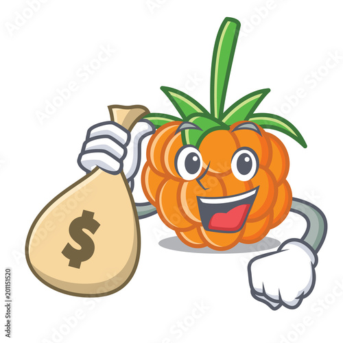 With money bag cloudberry character cartoon style