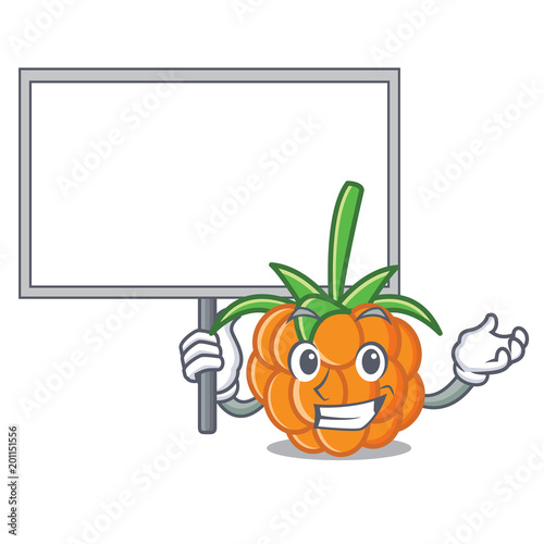 Bring board cloudberry character cartoon style