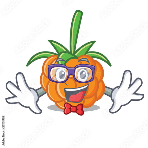 Geek cloudberry character cartoon style