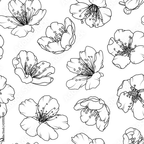 Fototapeta Naklejka Na Ścianę i Meble -  Cherry sakura blossom floral seamless pattern