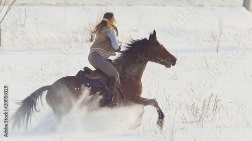 Bild auf Leinwand Equestrian sport - rider woman on horse galloping in snowy field