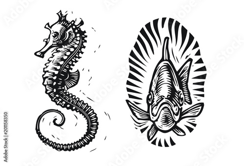 Seahorse and fish