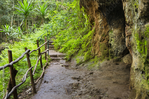 Karura Forest Trail in Nairobi, Kenya