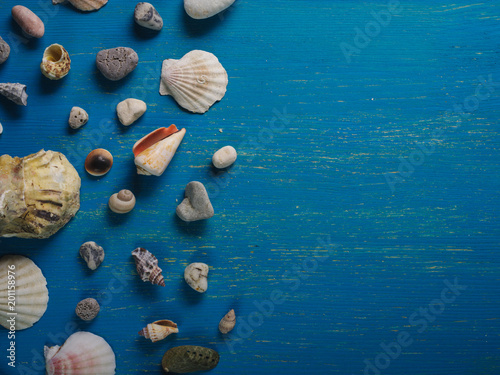 Seashells on a blue wooden background