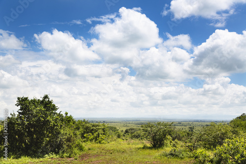 Nairobi National Park View, Kenya