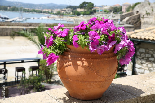 Korfu Blumenschale mit Blick auf Korfu Stadt