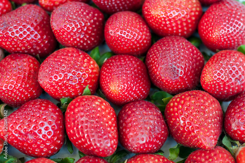 red strawberries pattern