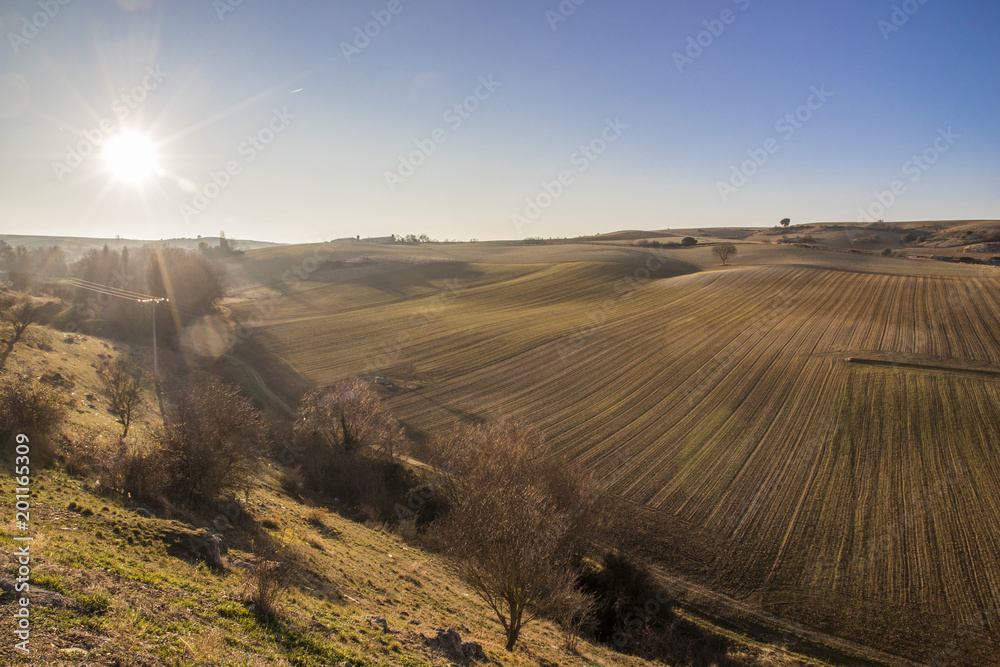 Dry and warm landscape in winter in the fields of Peleas de Arriba, Province of Zamora, Castile and Leon, Spain