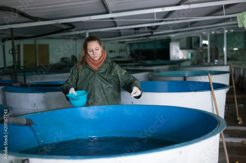 Female owner on sturgeon farm feeding fish photo