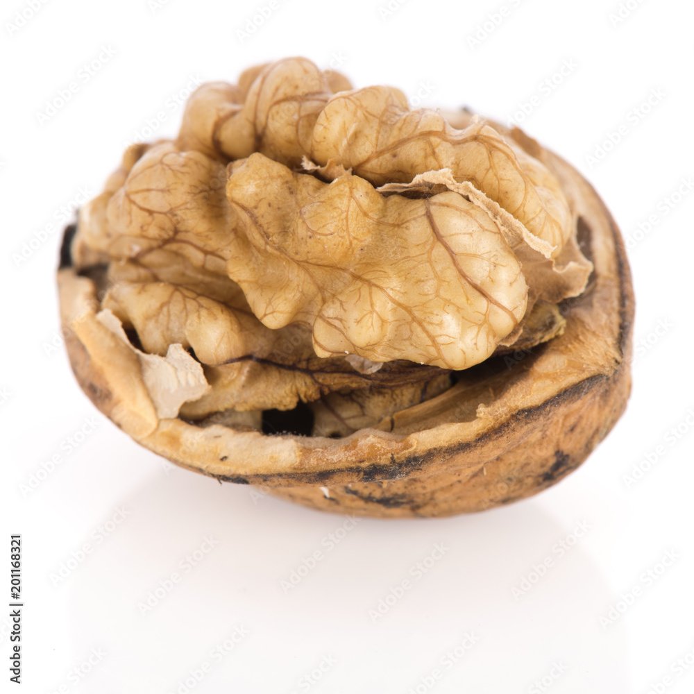 Walnut isolated over white background