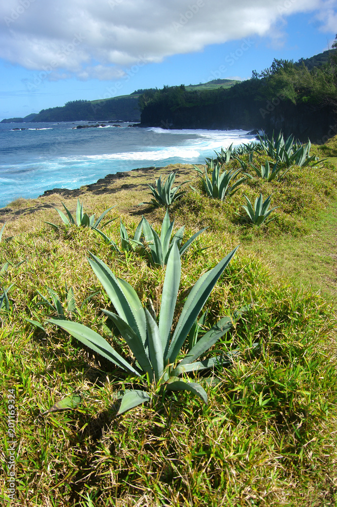 La Réunion - Littoral à Cayenne