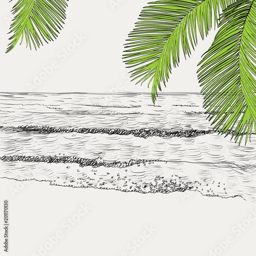 Vector summer seascape sketch. Seaside view and beach
