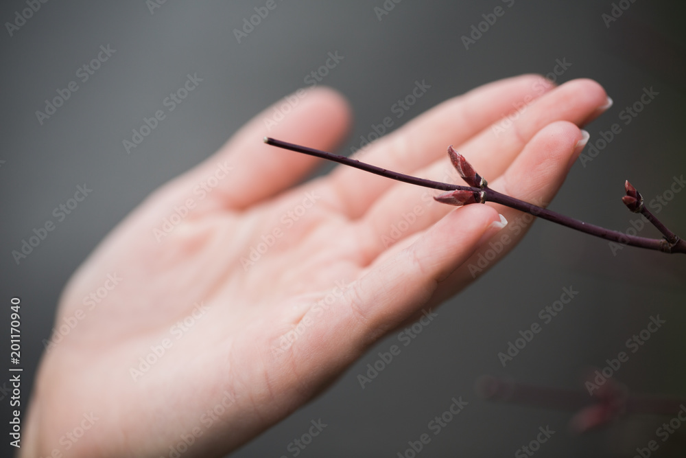 Hand touching leafless branch Hand touching leafless branch