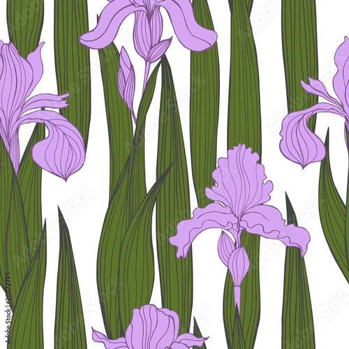 Fototapeta Naklejka Na Ścianę i Meble -  Hand-drawn iris flowers. Vector seamless pattern.