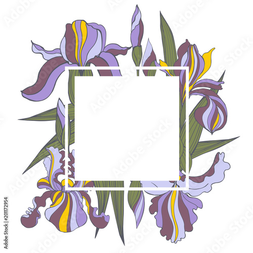 Fototapeta Naklejka Na Ścianę i Meble -  Vector frame  with hand-drawn iris flowers.