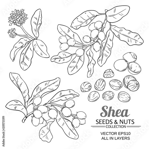 shea vector set
