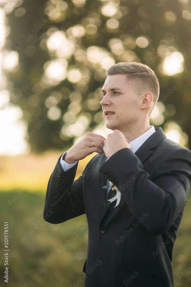 Groom adjusts the bow tie. Handsome man standing in the middle of field in the background of big tree Groom adjusts the bow tie. Handsome man standing in the middle of field in the background of big tree