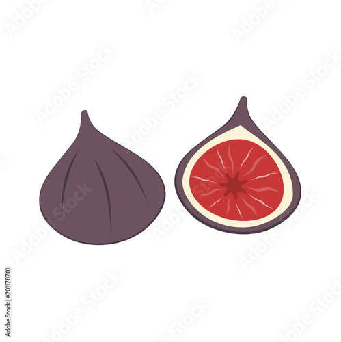fresh figs isolated on a white background vector illustration