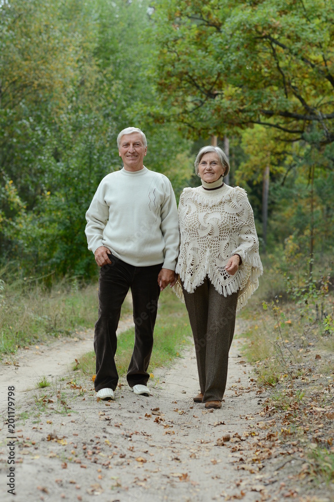 Obraz premium beautiful caucasian senior couple walking