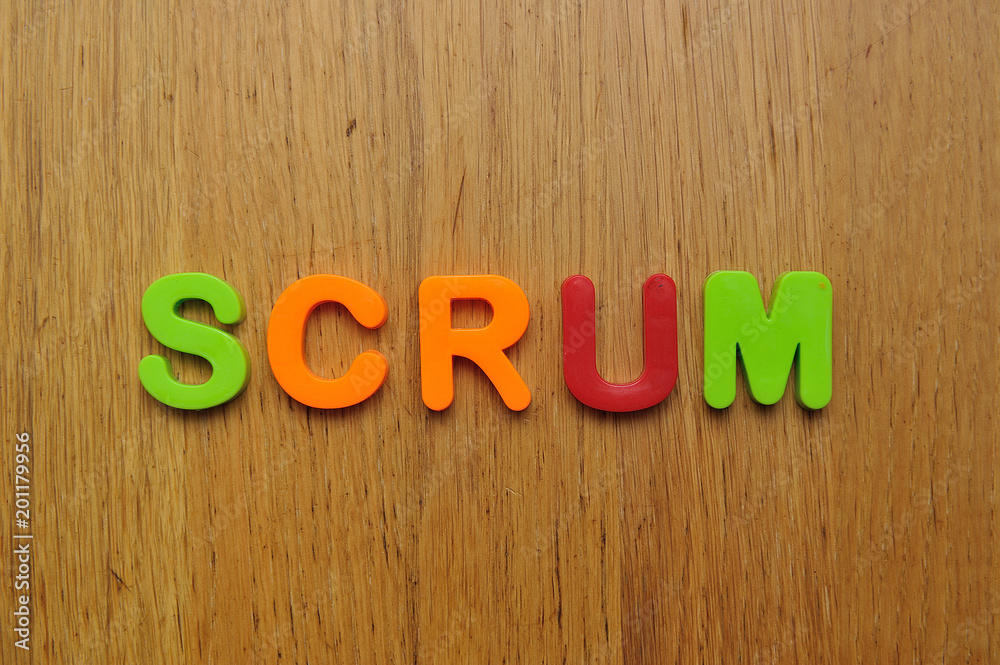 custom made wallpaper toronto digitalScrum word