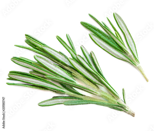 Isolated Rosemary herb. Fresh green rosemary bunch on a white background. Top view. Flat lay.